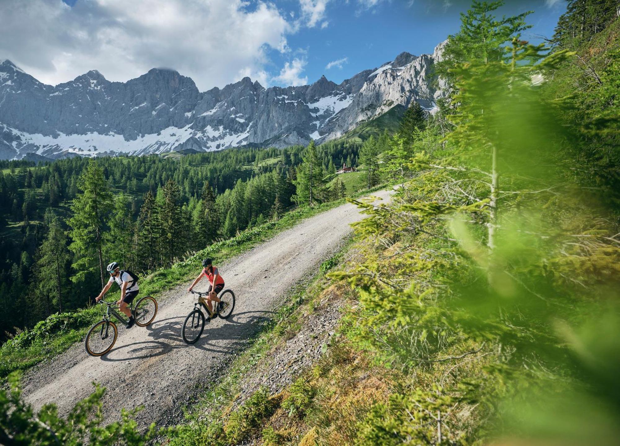 Luxury Chalets Gradenbach Near Schladming Haus im Ennstal Dış mekan fotoğraf
